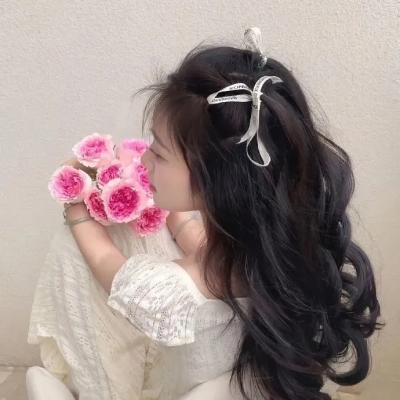 教授寻春